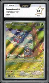 PCA 9.5 Saquedeneu thumbnail 1