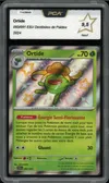 PCA 9.5 Ortide Shiny thumbnail 1