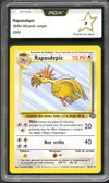 PCA 9 Rapasdepic thumbnail 1