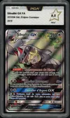 PCA 9.5 Silvallié Gx thumbnail 1