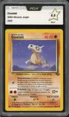 PCA 9.5 Osselait thumbnail 1