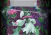 Pokébox Palmaval Ex thumbnail 5
