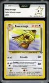 PCA 8 Roucarnage thumbnail 1