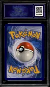 CA 9.5 Dedenne thumbnail 2