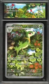 CA 9.5 Lianaja thumbnail 1