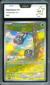 PCA 9.5 Saquedeneu thumbnail 1