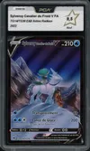 PCA 9.5 Sylveroy V thumbnail 1
