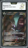 PCA 9.5 Bruyverne V thumbnail 1
