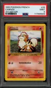 PSA 9 Caninos thumbnail 1