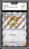 PCA 9.5 Roucoups Shiny thumbnail 1