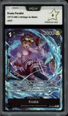 PCA 9 Koala thumbnail 1