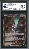 CCC 9.5 Bruyverne V thumbnail 1
