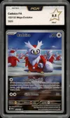 PCA 9.5 Cadoizo thumbnail 1