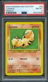 PSA 8 Caninos thumbnail 1
