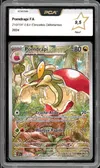 PCA 9.5 Pomdrapi thumbnail 1