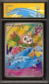 CA 9.5 Brindibou thumbnail 1