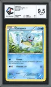 CCC 9.5 Carapuce thumbnail 1