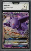 PCA 9 Mentali Gx thumbnail 1