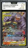 PCA 9 Marshadow et Mackogneur Gx thumbnail 1
