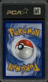 PCA 9.5 Zorua de N thumbnail 2