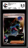 CCC 9.5 Pania thumbnail 1