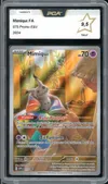 PCA 9.5 Mimiqui thumbnail 1