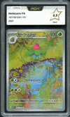 PCA 9.5 Herbizarre thumbnail 1