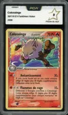 PCA 9 Colossinge thumbnail 1