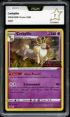 PCA 7 Cerbyllin thumbnail 1