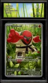 CA 9.5 Judokrak thumbnail 1