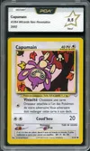 PCA 9.5 Capumain thumbnail 1