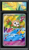 CA 9.5 Brindibou thumbnail 1