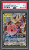 PSA 9 Méga-Lockpin et Rondoudou Gx thumbnail 1