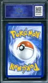 CA 9.5 Zorua de N thumbnail 2