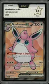 PCA 9.5 Grodoudou Ex thumbnail 1