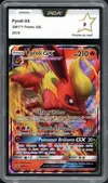 PCA 9 Pyroli Gx thumbnail 1