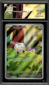 CA 10 Togedemaru thumbnail 1