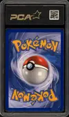 PCA 9.5 Zoroark Holo thumbnail 2