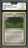 PCA 8 Arbre à Puissance thumbnail 1