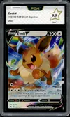 PCA 9.5 Evoli V thumbnail 1