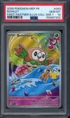 PSA 10 Brindibou thumbnail 1