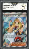 PCA 9.5 Détermination de Lilie thumbnail 1