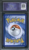CA 9.5 Zorua de N thumbnail 2