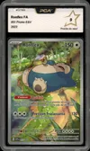 PCA 9 Ronflex thumbnail 1