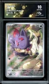 CA 10 Zorua de N thumbnail 1