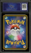 CA 10 Roserade thumbnail 2