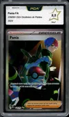PCA 9.5 Pania thumbnail 1