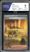 SGS 9 Pania thumbnail 1