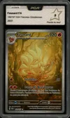 PCA 9 Feunard thumbnail 1
