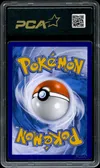 PCA 9.5 Zorua de N thumbnail 2